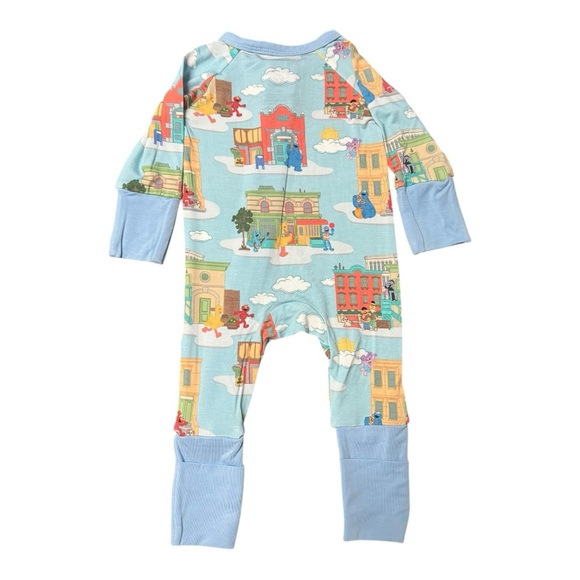 Vibrant Bundle of Joy Sesame Street Bamboo Zippy - Picture 2 of 5